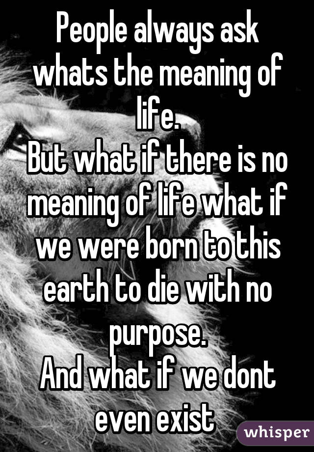 the meaning 0 is life what of life. whats the what meaning ask People always But if of