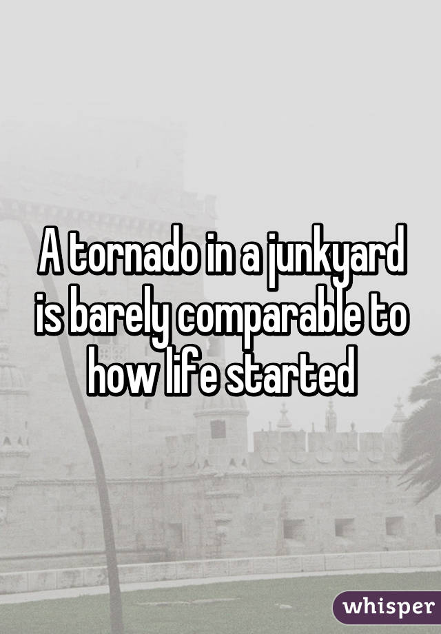 A tornado in a junkyard is barely comparable to how life started