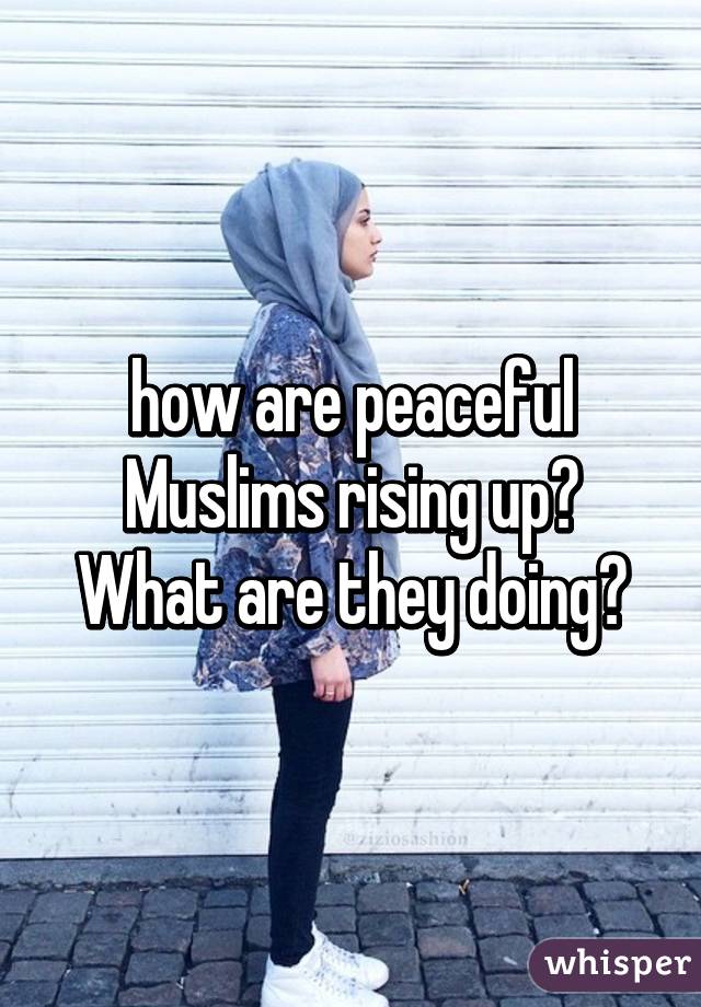 how are peaceful Muslims rising up? What are they doing?