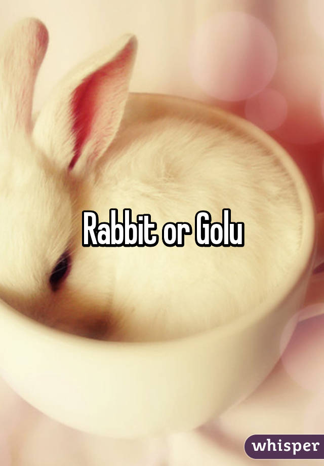 Rabbit or Golu