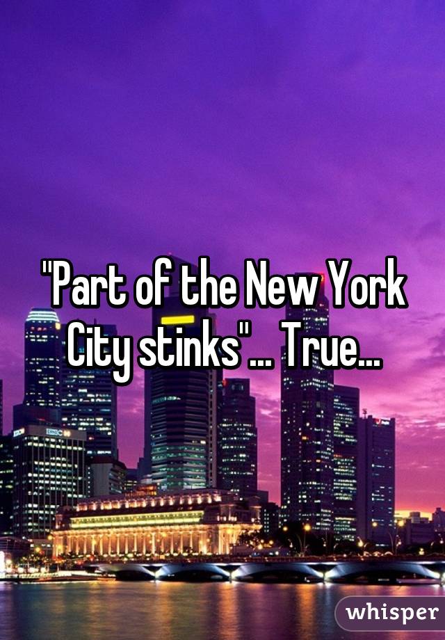 "Part of the New York City stinks"... True...