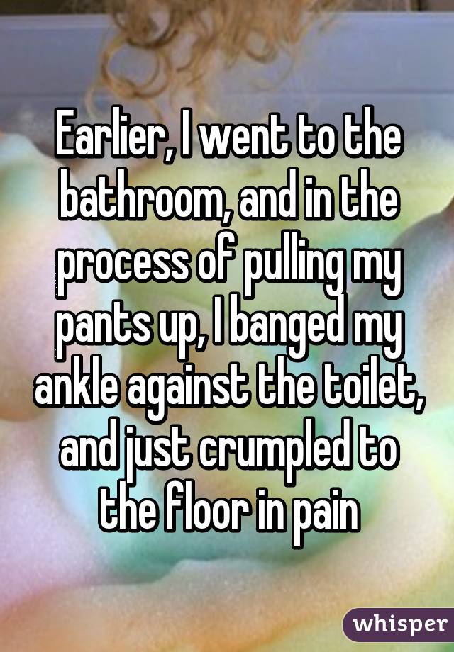 Earlier, I went to the bathroom, and in the process of pulling my pants up, I banged my ankle against the toilet, and just crumpled to the floor in pain