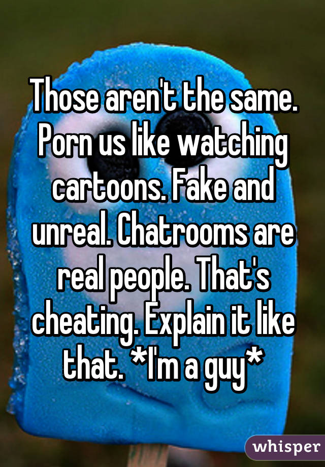 Those aren't the same. Porn us like watching cartoons. Fake and unreal. Chatrooms are real people. That's cheating. Explain it like that. *I'm a guy*