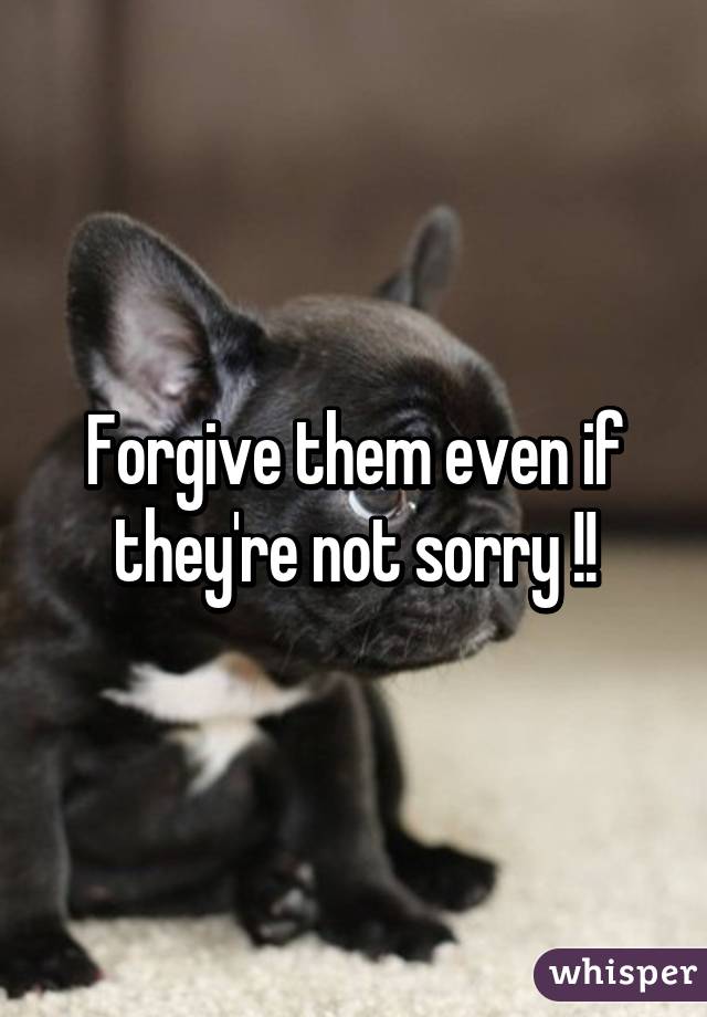 Forgive them even if they're not sorry !!
