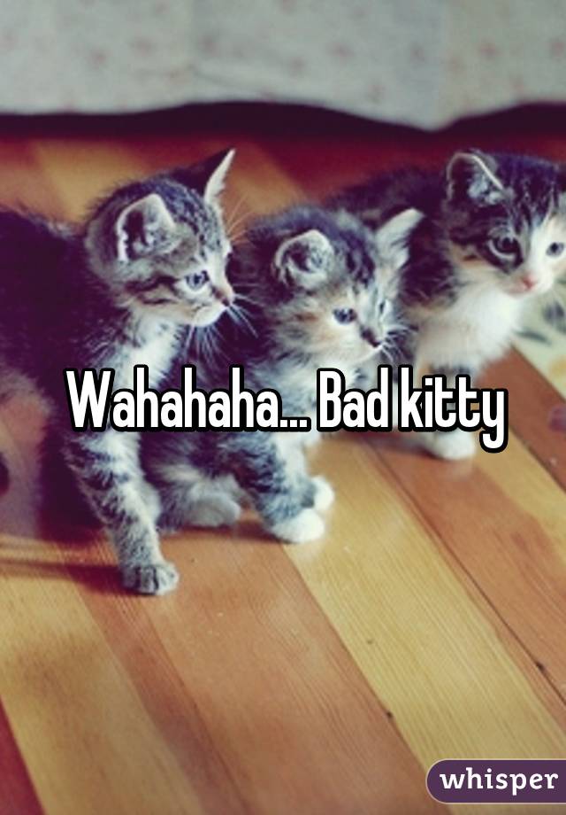 Wahahaha... Bad kitty