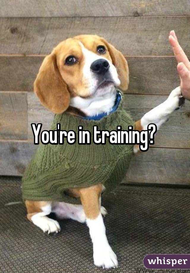 You're in training? 