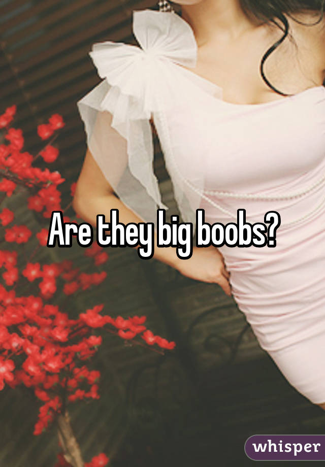 Are they big boobs?