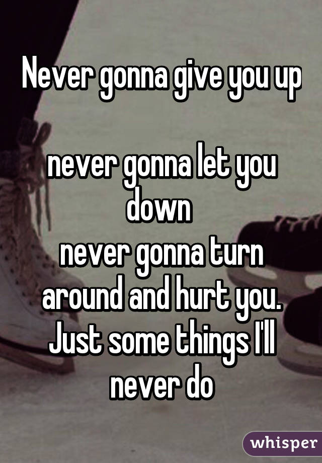 Never gonna give you up 
never gonna let you down 
never gonna turn around and hurt you. Just some things I'll never do