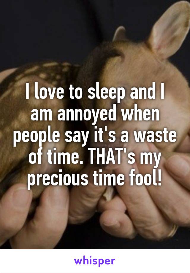 I love to sleep and I am annoyed when people say it's a waste of time. THAT's my precious time fool!