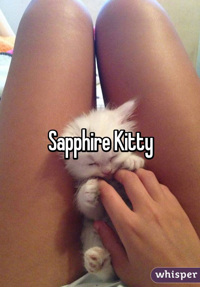 Sapphire Kitty