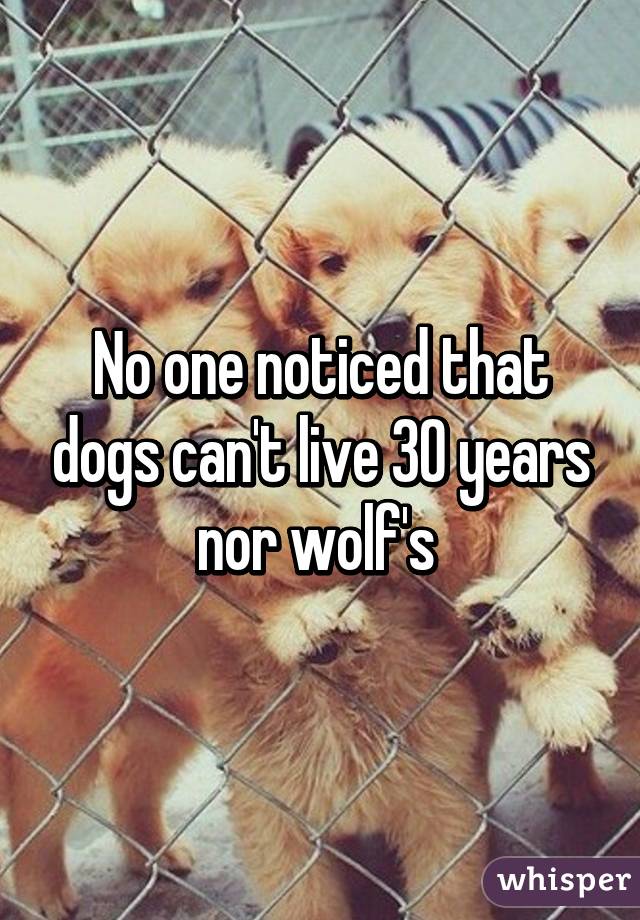 No one noticed that dogs can't live 30 years nor wolf's 