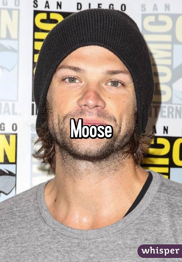 Moose