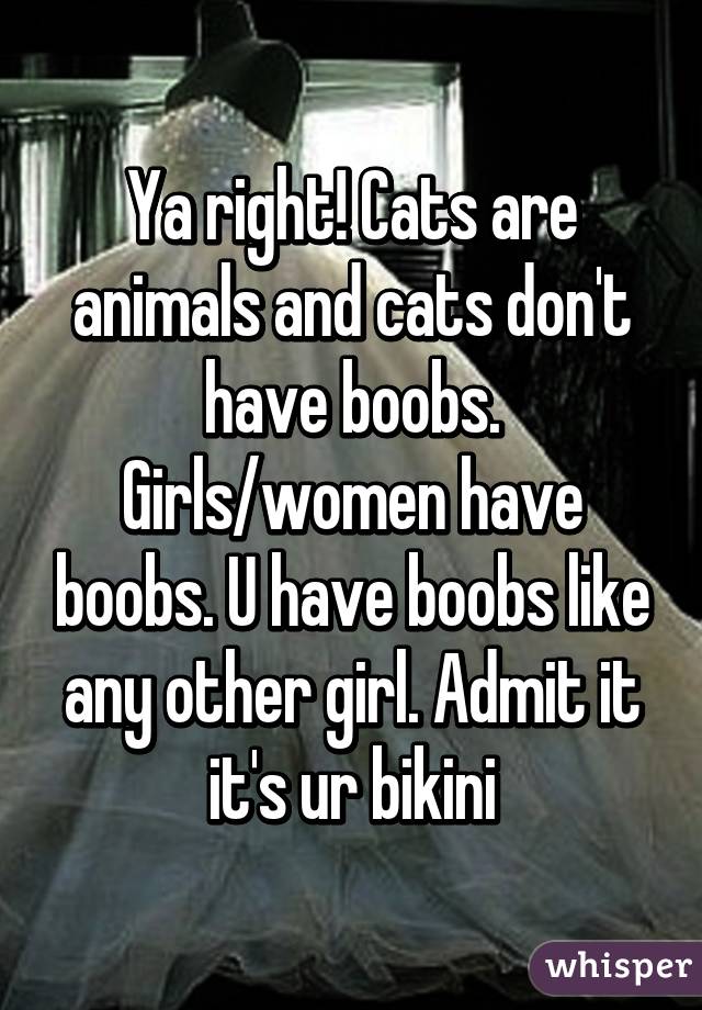 Ya right! Cats are animals and cats don't have boobs. Girls/women have boobs. U have boobs like any other girl. Admit it it's ur bikini