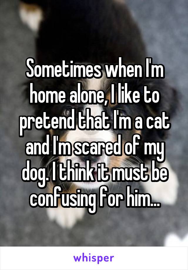 Sometimes when I'm home alone, I like to pretend that I'm a cat and I'm scared of my dog. I think it must be confusing for him...