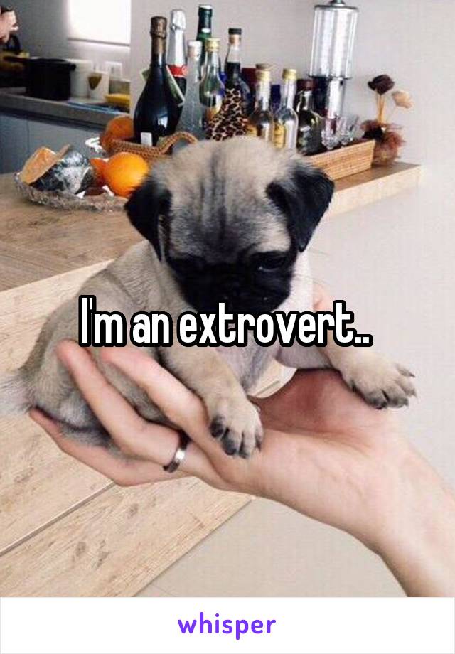 I'm an extrovert.. 
