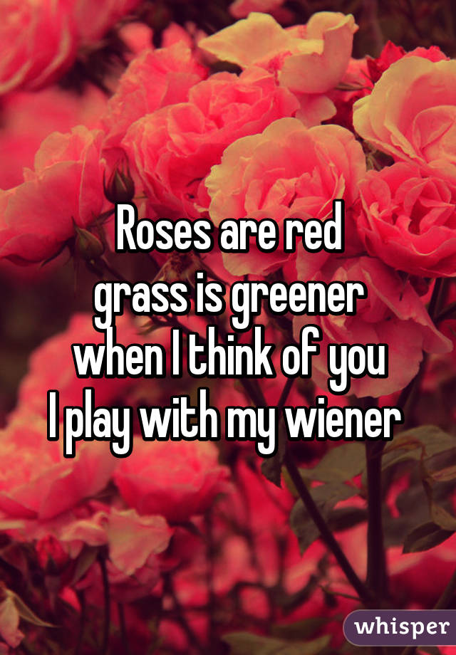 Roses are red
grass is greener
when I think of you
I play with my wiener 