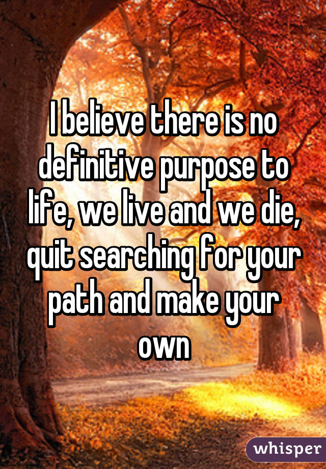 I believe there is no definitive purpose to life, we live and we die, quit searching for your path and make your own