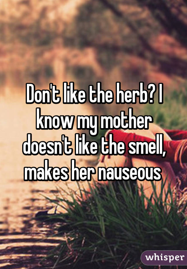 Don't like the herb? I know my mother doesn't like the smell, makes her nauseous 