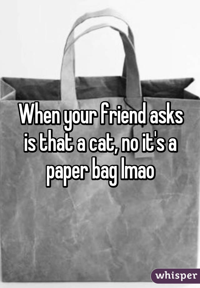 When your friend asks is that a cat, no it's a paper bag lmao