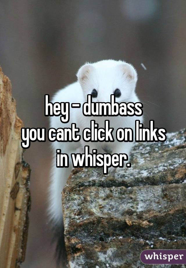 hey - dumbass
you cant click on links in whisper.