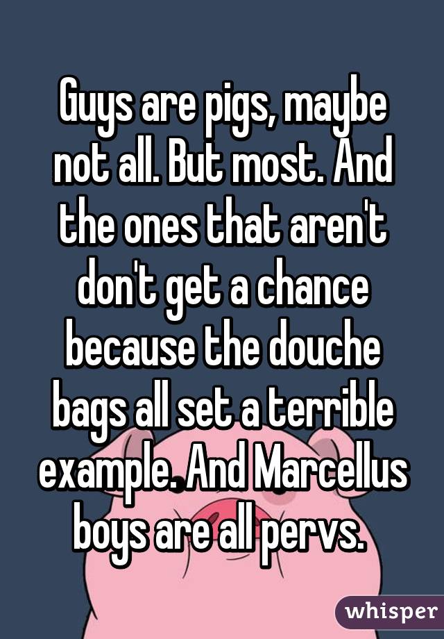 Guys are pigs, maybe not all. But most. And the ones that aren't don't get a chance because the douche bags all set a terrible example. And Marcellus boys are all pervs. 