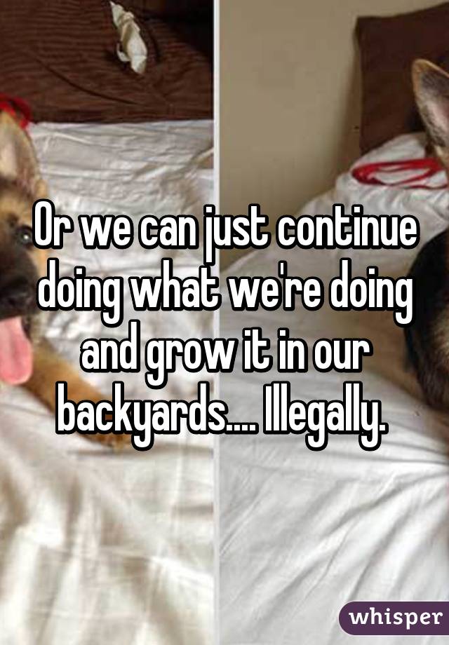 Or we can just continue doing what we're doing and grow it in our backyards.... Illegally. 