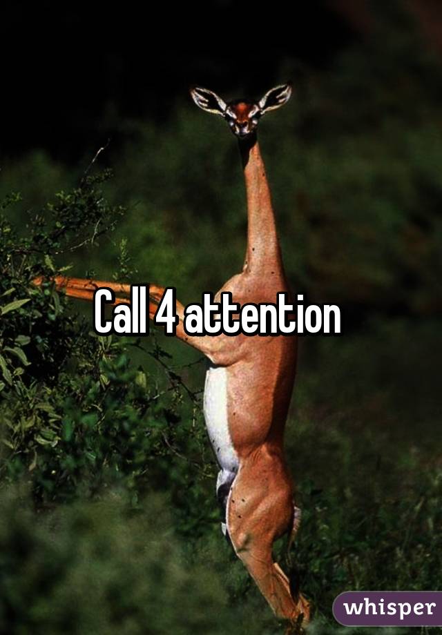 Call 4 attention 