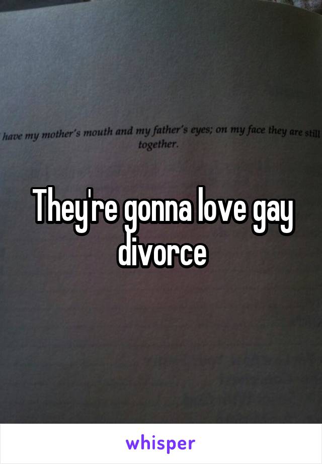 They're gonna love gay divorce