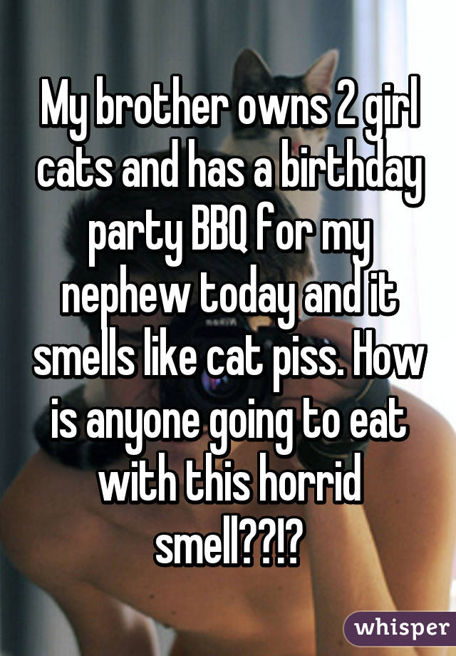 My brother owns 2 girl cats and has a birthday party BBQ for my nephew today and it smells like cat piss. How is anyone going to eat with this horrid smell??!?