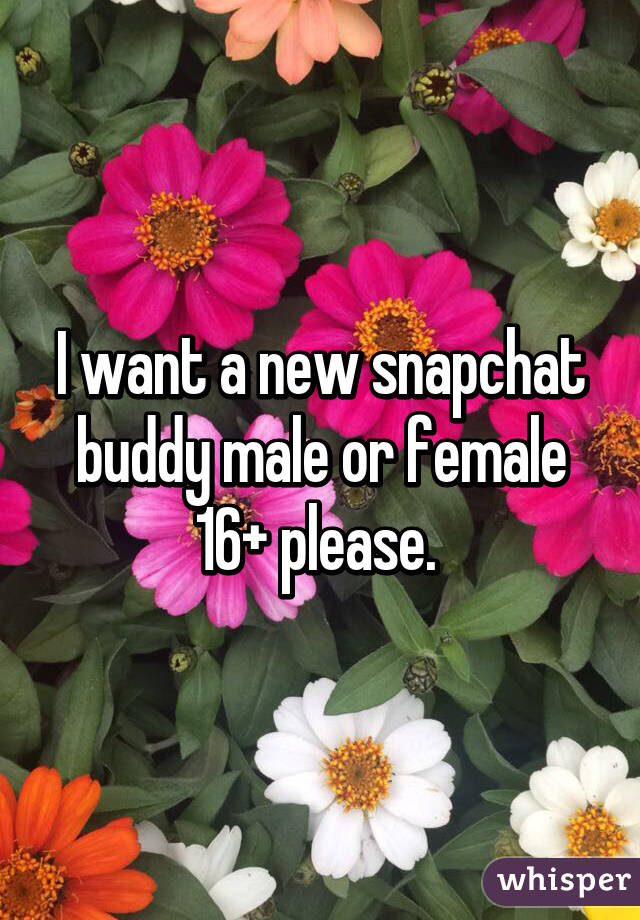 I want a new snapchat buddy male or female 16+ please. 