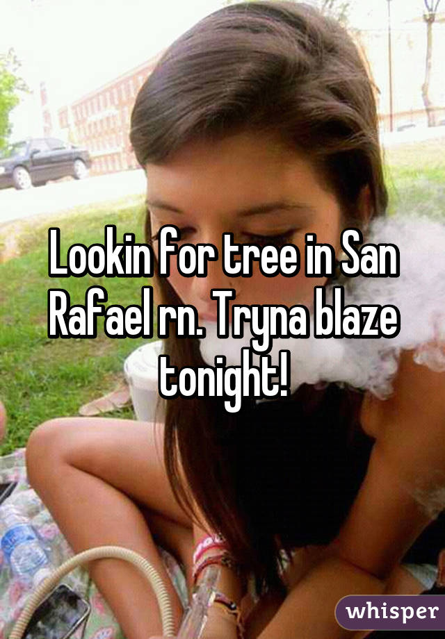 Lookin for tree in San Rafael rn. Tryna blaze tonight!