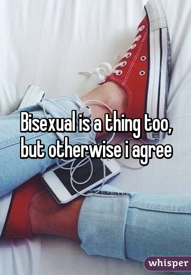 Bisexual is a thing too, but otherwise i agree