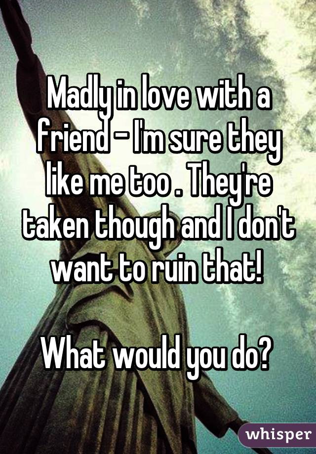 Madly in love with a friend - I'm sure they like me too . They're taken though and I don't want to ruin that! 

What would you do? 