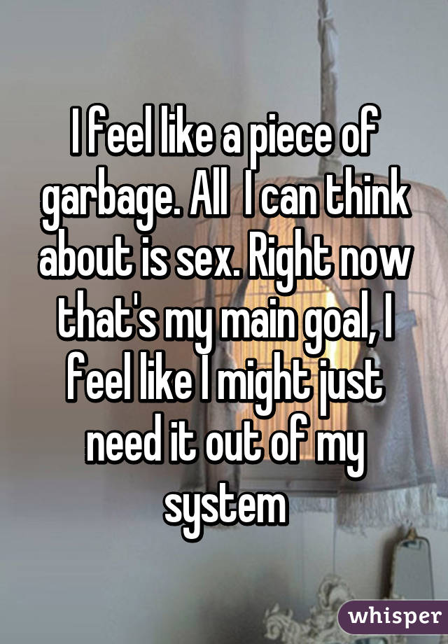I feel like a piece of garbage. All  I can think about is sex. Right now that's my main goal, I feel like I might just need it out of my system