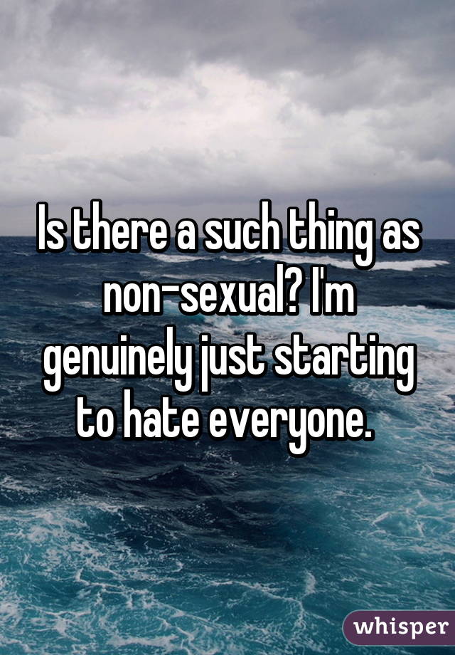 Is there a such thing as non-sexual? I'm genuinely just starting to hate everyone. 