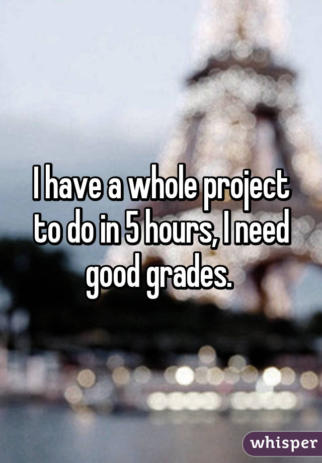 I have a whole project to do in 5 hours, I need good grades. 