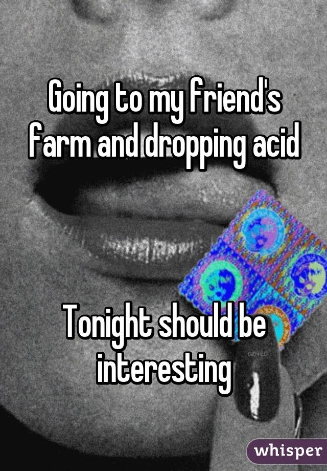Going to my friend's farm and dropping acid



Tonight should be interesting