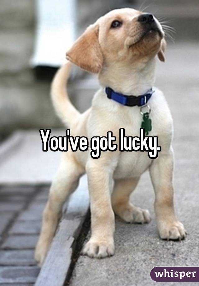 You've got lucky.