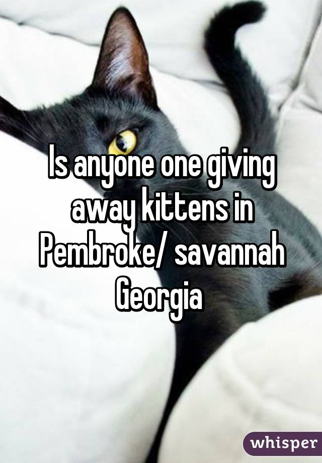 Is anyone one giving away kittens in Pembroke/ savannah Georgia 
