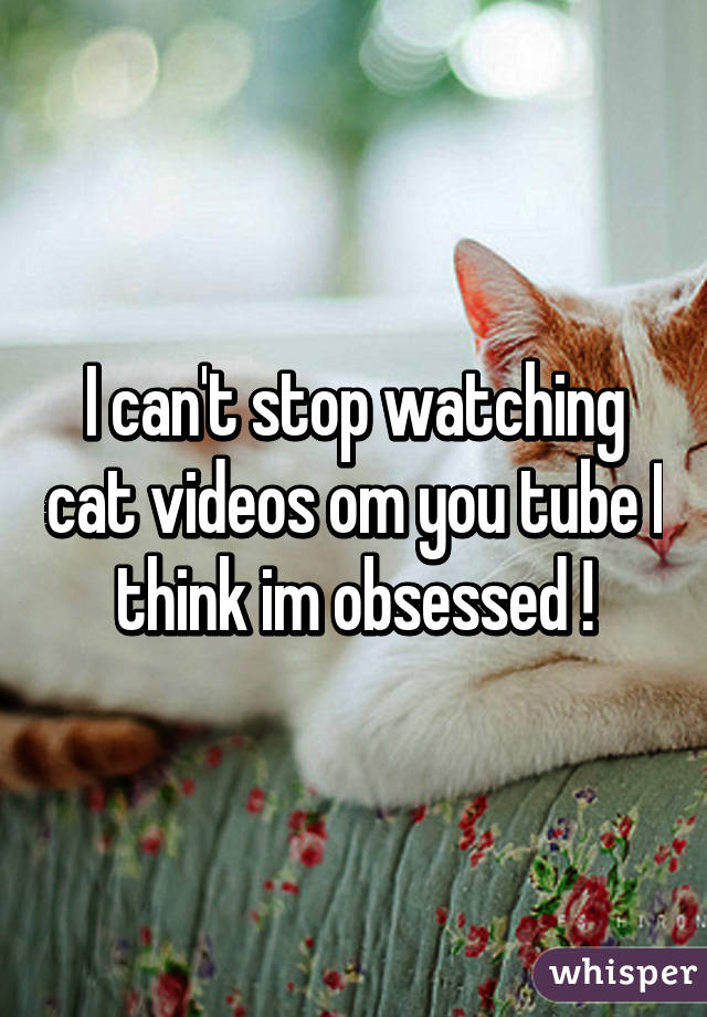 I can't stop watching cat videos om you tube I think im obsessed !