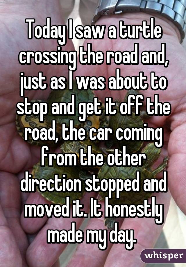 Today I saw a turtle crossing the road and, just as I was about to stop and get it off the road, the car coming from the other direction stopped and moved it. It honestly made my day. 
