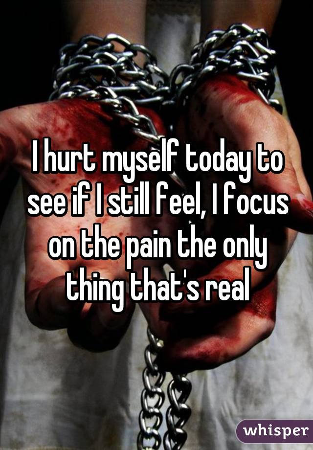 I hurt myself today to see if I still feel, I focus on the pain the only thing that's real