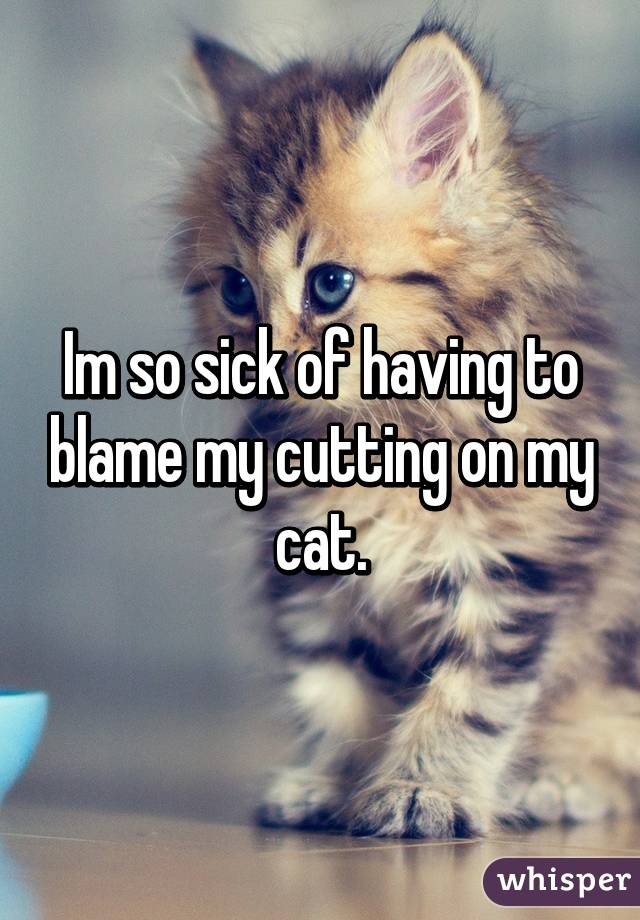 Im so sick of having to blame my cutting on my cat.