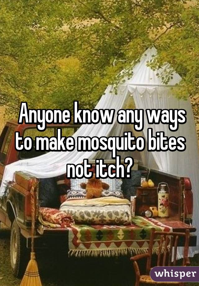  Anyone know any ways to make mosquito bites not itch?