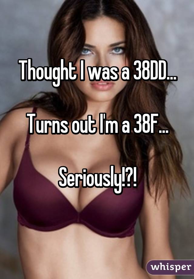 Thought I was a 38DD...

Turns out I'm a 38F...

Seriously!?!
