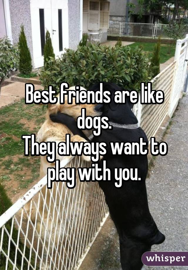 Best friends are like dogs.
They always want to play with you.