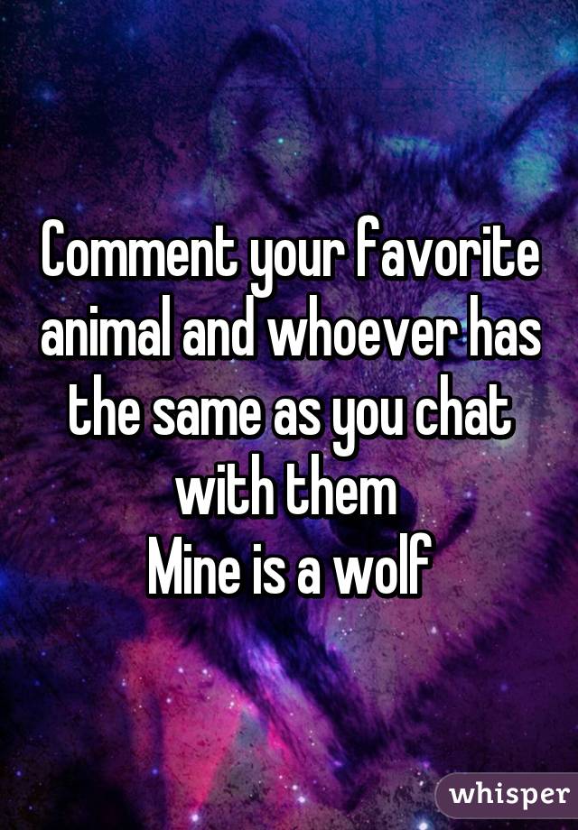 Comment your favorite animal and whoever has the same as you chat with them 
Mine is a wolf