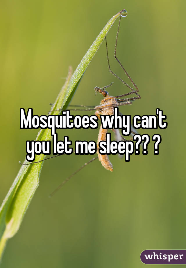 Mosquitoes why can't you let me sleep?? 😫