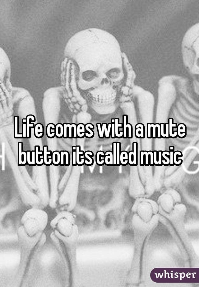 Life comes with a mute button its called music