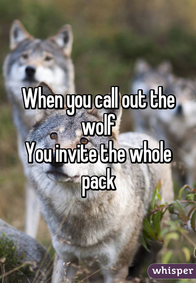 When you call out the wolf
You invite the whole pack